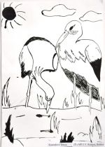 Kusendová Tereza.jpg